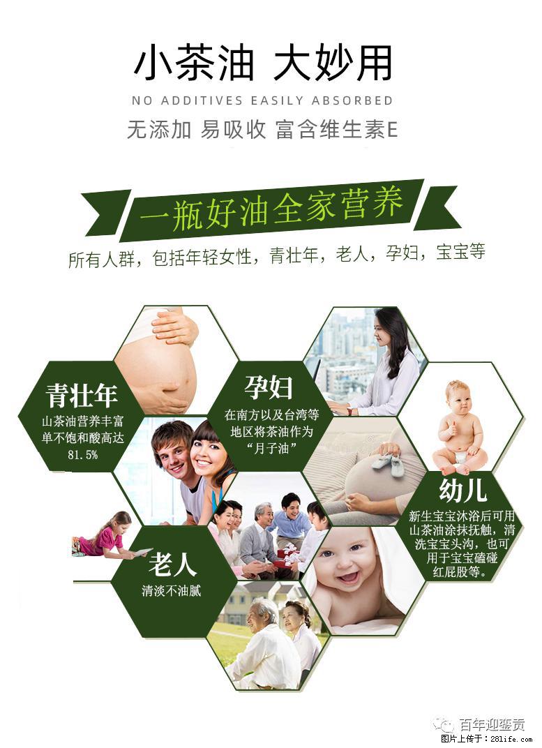 世界没有真相，只有认知，最好的食用油是中国的山茶油！ - 丽水生活资讯 - 丽水28生活网 lishui.28life.net