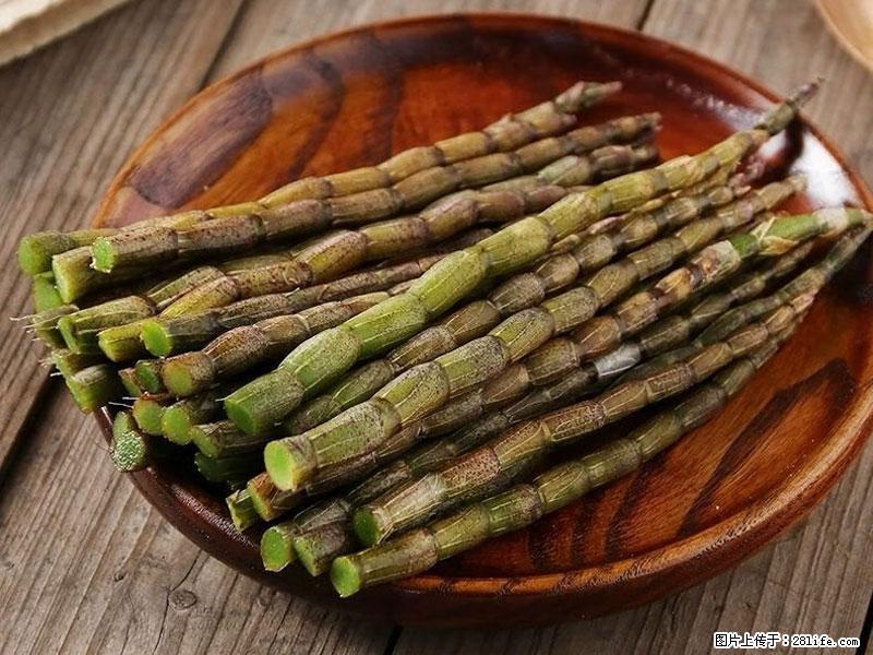 铁皮石斛的作用与功能主治 - 丽水生活资讯 - 丽水28生活网 lishui.28life.net