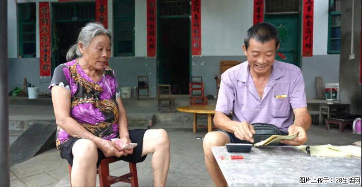【乡村振兴】文市蜂糖李、黄金奈李迎丰产上市季 甜蜜产业助振兴 - 丽水生活资讯 - 丽水28生活网 lishui.28life.net